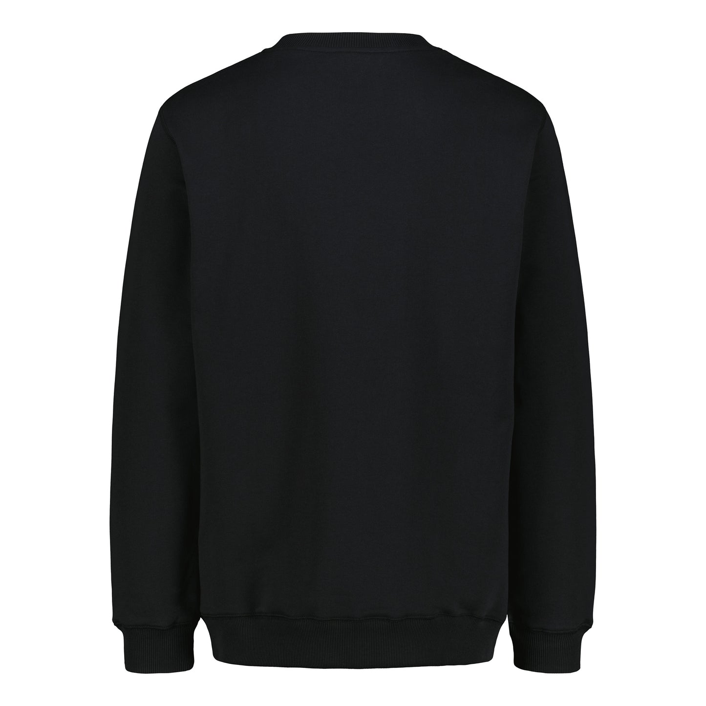 Sasta Raw sweatshirt